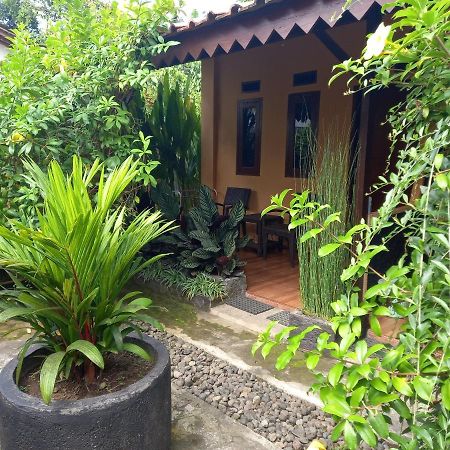Juda Homestay Banyuwangi  Ngoại thất bức ảnh