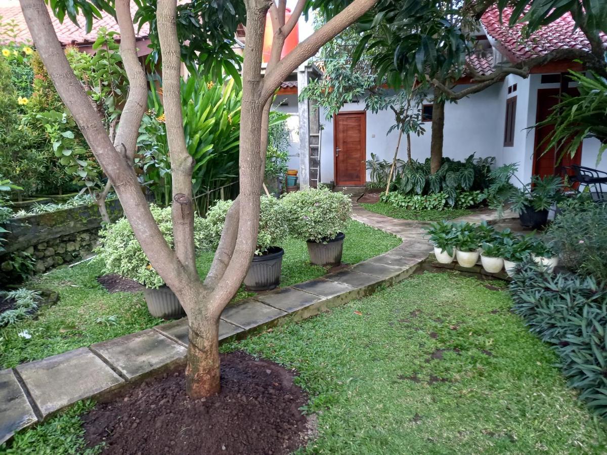 Juda Homestay Banyuwangi  Ngoại thất bức ảnh
