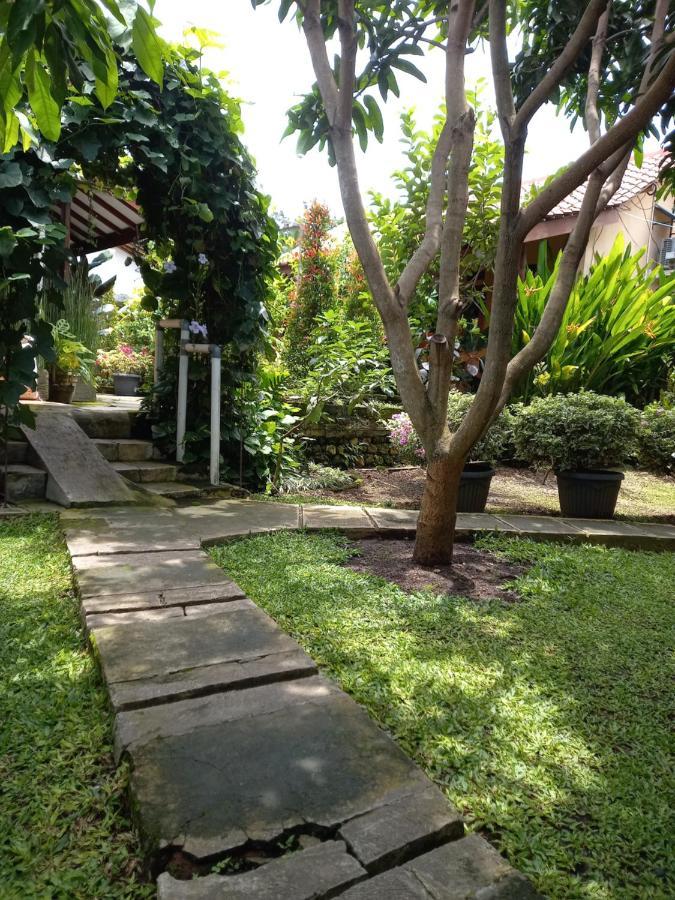 Juda Homestay Banyuwangi  Ngoại thất bức ảnh
