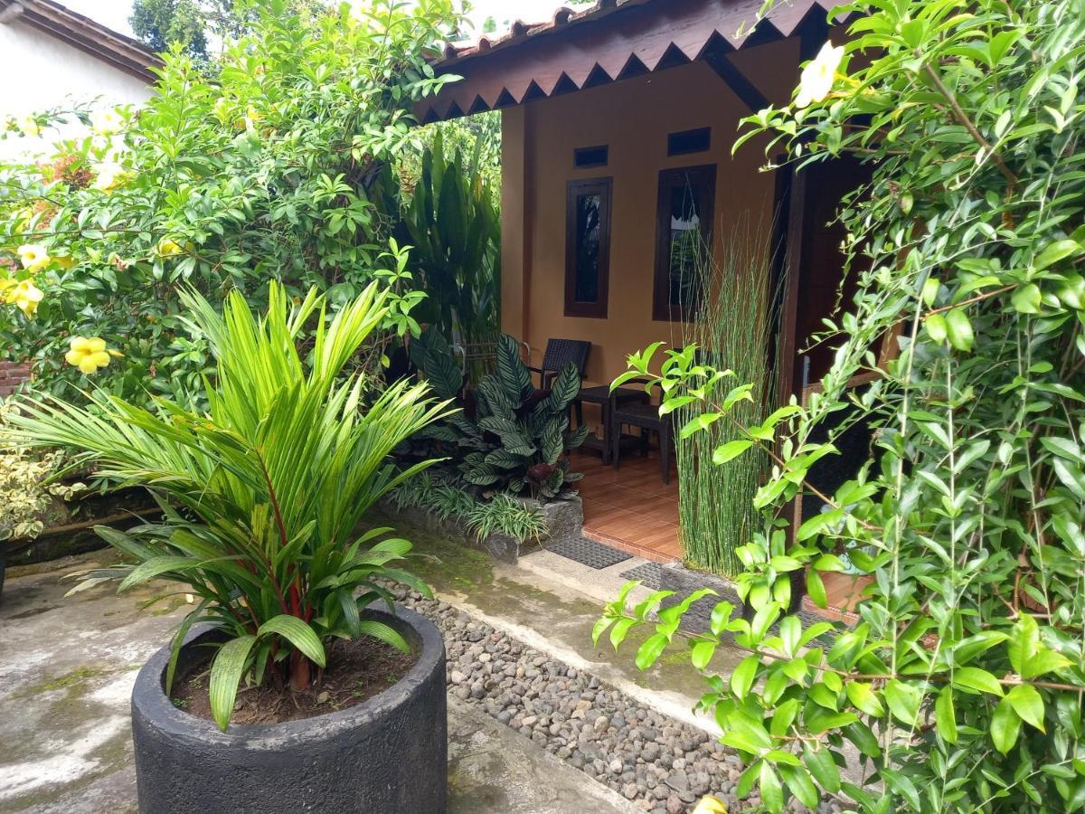 Juda Homestay Banyuwangi  Ngoại thất bức ảnh