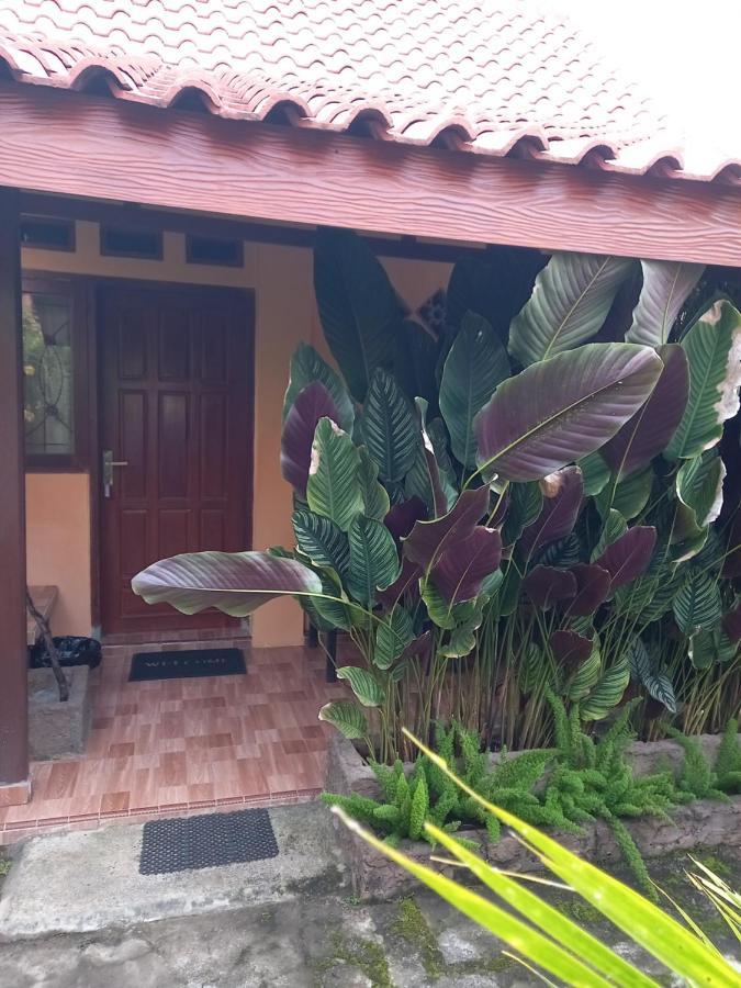 Juda Homestay Banyuwangi  Ngoại thất bức ảnh