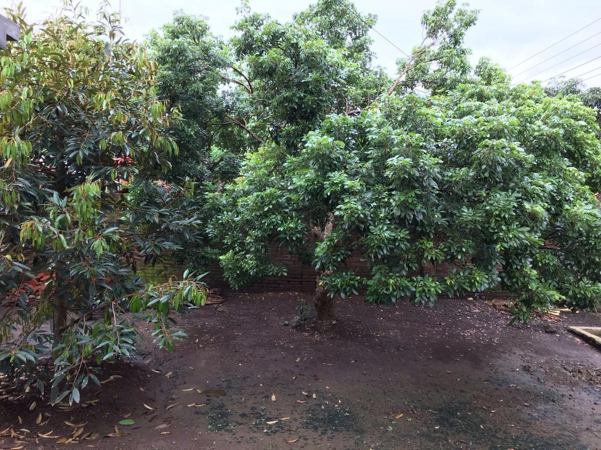 Juda Homestay Banyuwangi  Ngoại thất bức ảnh